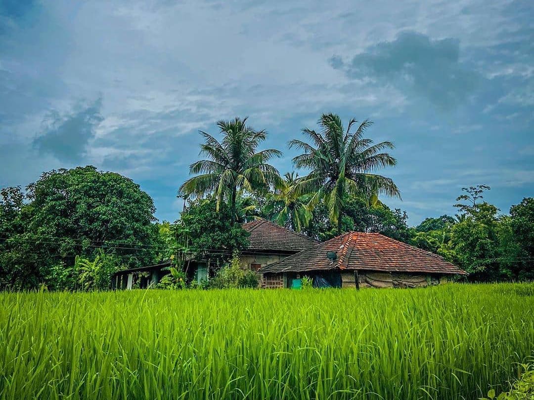 Konkan